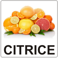 Aromă de Citrice