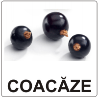 Aromă de Coacăze