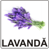 Aromă de Lavandă