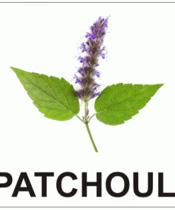 Aromă de Patchouli