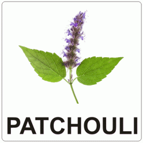 Aromă de Patchouli