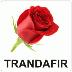 Aromă de Trandafir