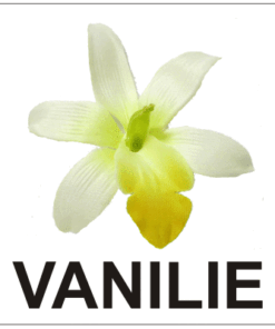 Aromă de Vanilie