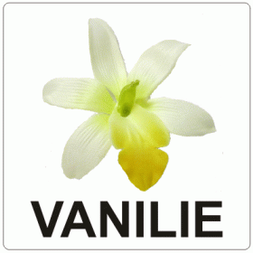 Aromă de Vanilie