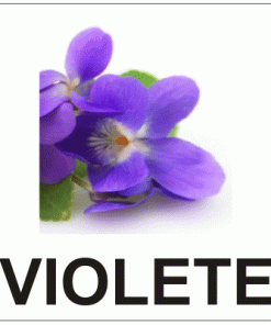 Aromă de Violete