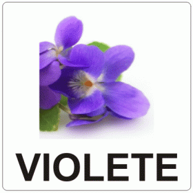 Aromă de Violete