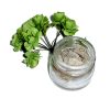Sticluță cu tămâie - Boswellia Carterii Olibano