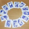 Set de 12 pliculețe de zahăr pentru cele 12 zodii europene