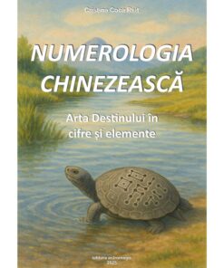 Numerologia Chinezească